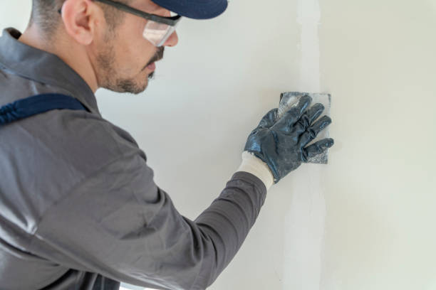 Best Mold Documentation for Insurance Claims  in Andover, KS